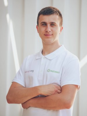 Mobile Autonomous Solar-Wind Electrical Station