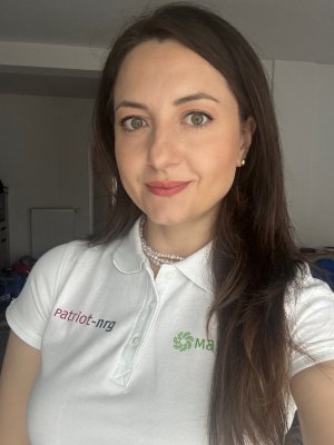 Mobile Autonomous Solar-Wind Electrical Station